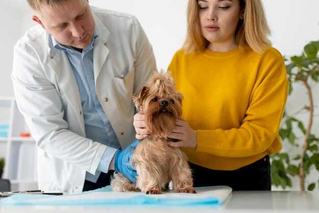 Use of Amlodipine in Dogs