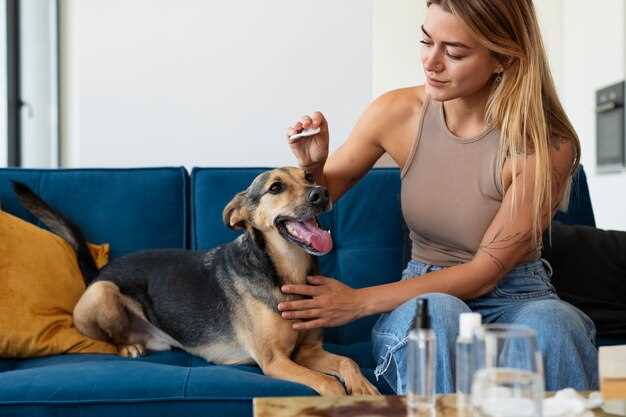 Why Amlodipine Besylate is Dangerous for Your Dog