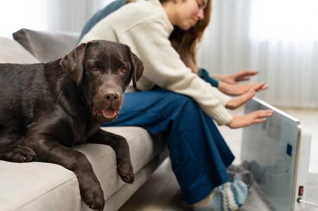 Amlodipine affects on dogs