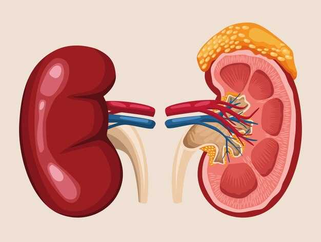 Amlodipine besylate kidney damage