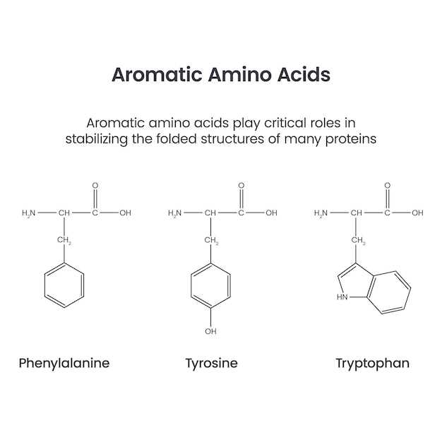 Amlodipine besylate mode of action