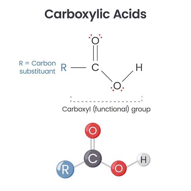 Describe the mechanism of action of amlodipine with the aid of a simple diagram