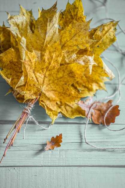 Ginkgo biloba and amlodipine